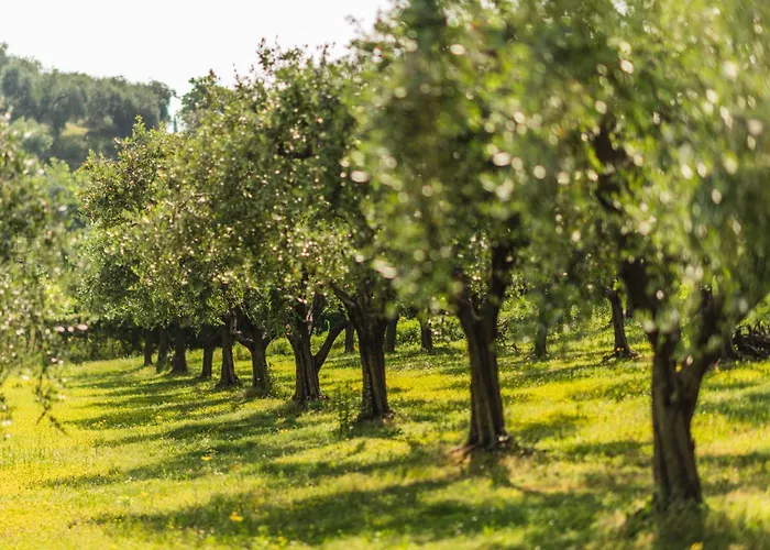 Apart Otel Privilegium