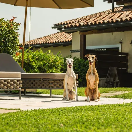 Aparthotel Privilegium