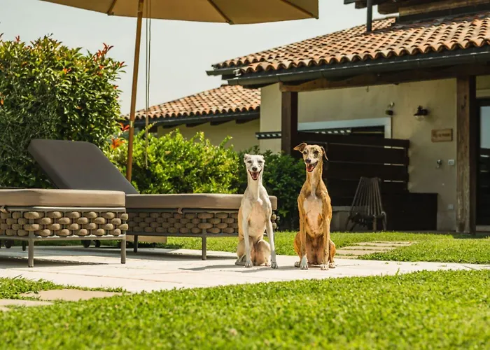 Aparthotel Privilegium