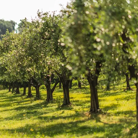 Aparthotel Privilegium